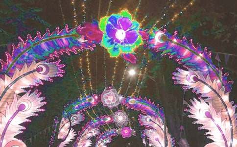 ����������(���x)