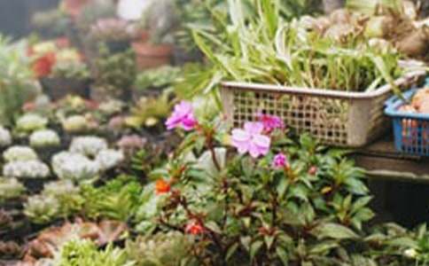 花店創(chuàng)業(yè)策劃書