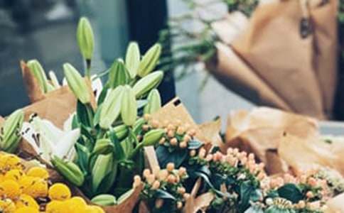 ������N��ӷ���(5ƪ)