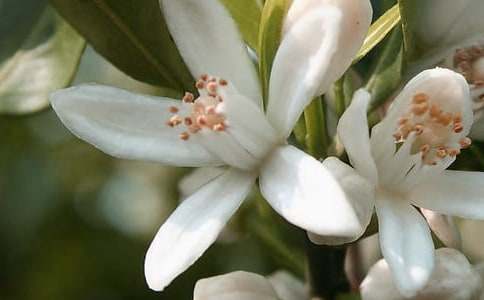 �����л��䡪������㡷�̰�