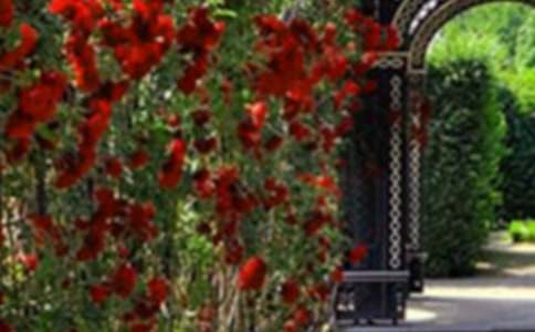 菽莊花園導(dǎo)游詞11篇