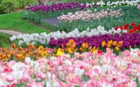 ���˵Ļ��@���Ĵ�ȫ10ƪ