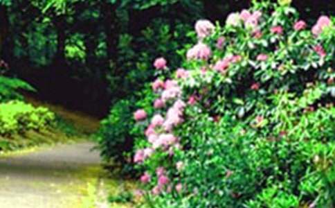 花園物業(yè)管理服務(wù)協(xié)議