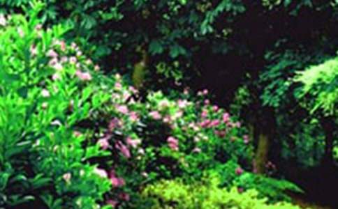 ���@����ʲô�̰�