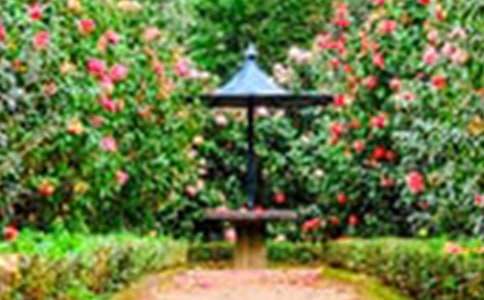 �����@���⡷�^���