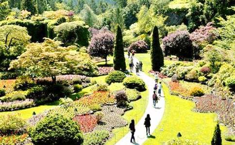 《巨人的花園》讀后感