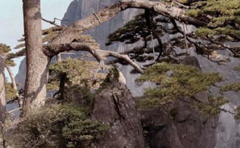 �Sɽ��(d��o)���~14ƪ