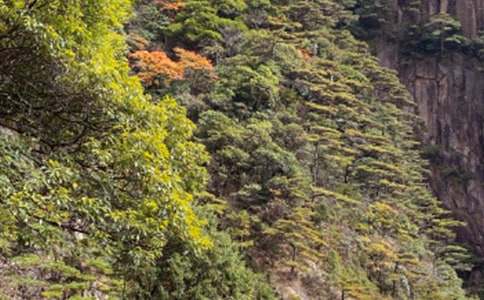 �Sɽ��(d��o)���~����(y��u)�㡿