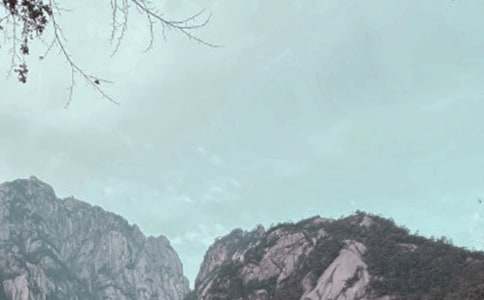 �Sɽ�Č�(d��o)���~(�ϼ�15ƪ)