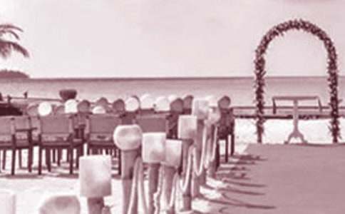 ��Y���ɴ��x�~[���x]