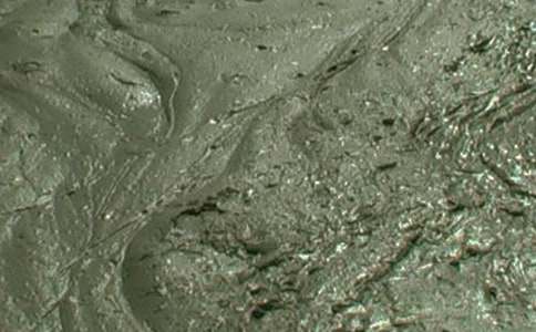 �������|(zh��)�����Z��