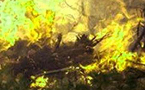 火災(zāi)的預(yù)防的心得體會(huì)