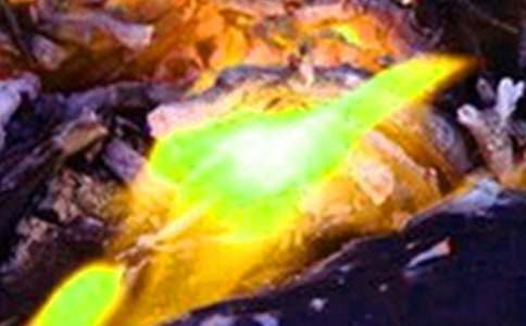 С�^(q��)�������(z��i)���ع���������ͨ��11ƪ��