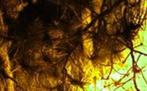 �A(y��)�����(z��i)��ϧ�����V����