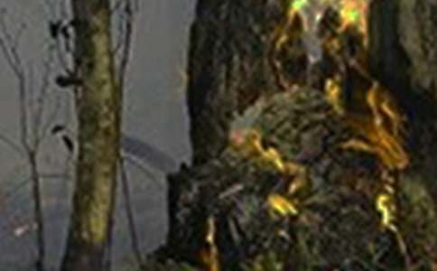 火災(zāi)事故的調(diào)查報告