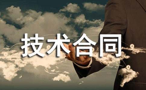 計(jì)算機(jī)技術(shù)合同優(yōu)秀