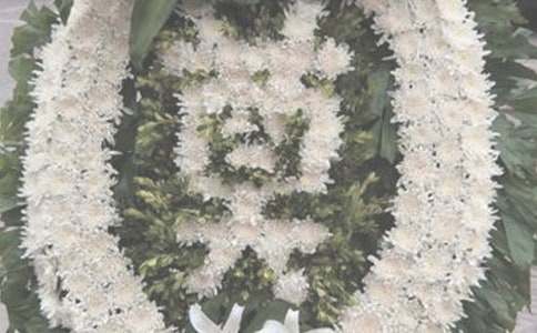 ������ʿ�ĺ��̼��Z370��