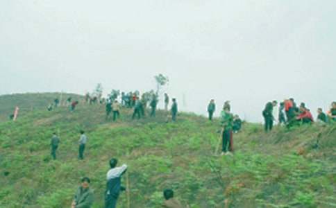 祭祖儀式致辭(精選32篇)