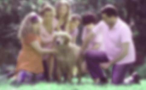 ��ͥ�����v���^���15ƪ[�ϼ�]