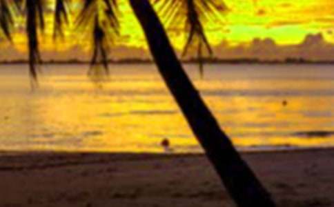 ���ڱ��C��