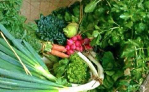 [��(y��u)]��ཡ���̰�