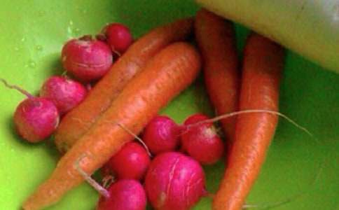 �������������l(f��)�Ը�