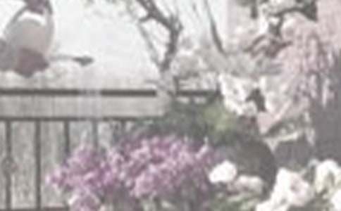 ����С�W(xu��)����