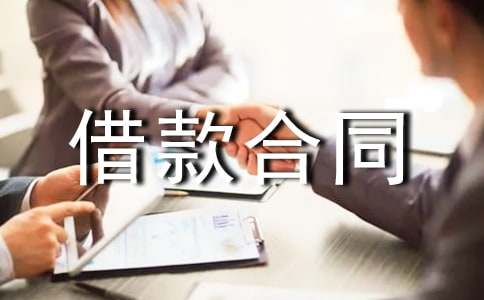 個(gè)人借款合同集合(15篇)