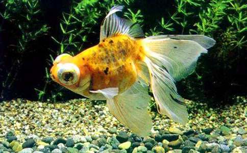 С���~����[��(j��ng)��9ƪ]