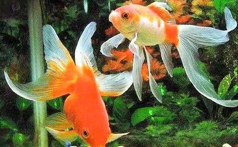 ����С���~�x���