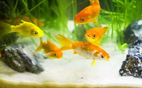 С���~����[����10ƪ]