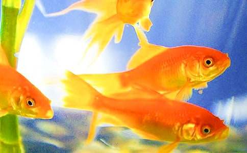 �����ϣ��ɐ۵Ľ��~����