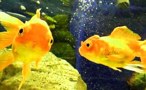 ���~����������[�ϼ�]