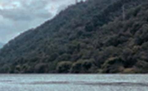 �茑(xi��)��Ȼ��ɫ������