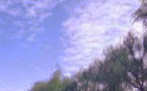 寫(xiě)自然景色的作文