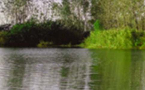 С�W����ɫ�����Č���[6ƪ]