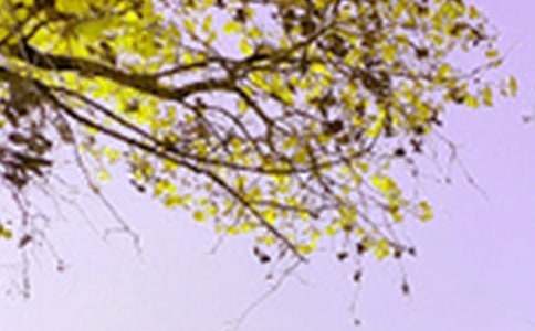 С�W(xu��)����ɫ�����ģ�ͨ��3ƪ��