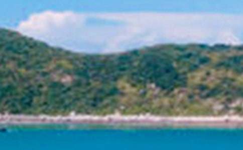 ��(xi��)�ط���ɫ������500�֣�ͨ��4ƪ��