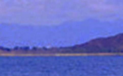 ����Ȼ�ľ�ɫ����(�R��15ƪ)