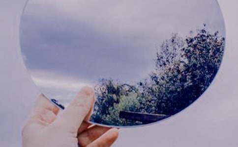 小花貓照鏡子作文