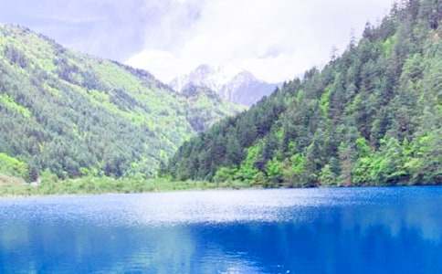 九寨溝的導(dǎo)游詞(集合15篇)