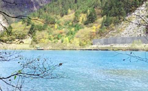 �P�ھ�կ�ό����~���\15ƪ