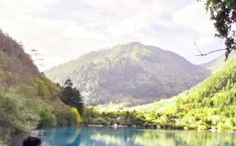 ��կ�ϵČ����~(�R��15ƪ)