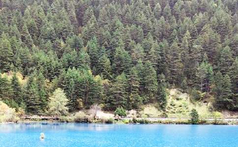 ��կ�ό����~��(y��u)�x15ƪ