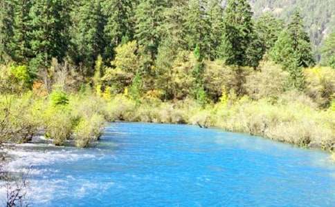 �P(gu��n)�ھ�կ�ϵČ�(d��o)���~12ƪ