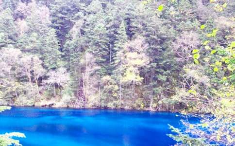 ��կ�ό�(d��o)���~ͨ��15ƪ