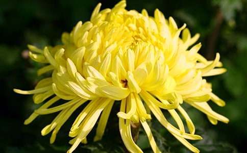 �r�յĻ��Z��ʲô��������˼,�r�ջ��Z��ʲô��