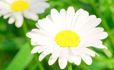 ���޾ջ��Z��ʲô��˼