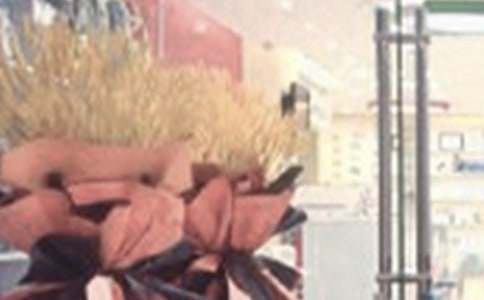 �_�I(y��)���(d��ng)�V����