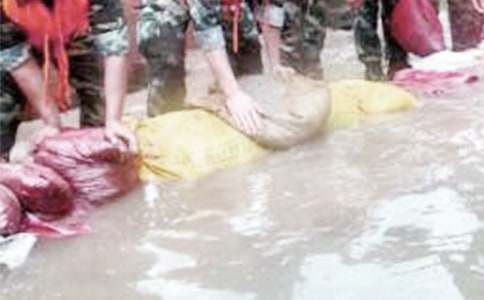 抗洪救災捐贈倡議書